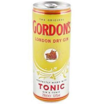 Picture of GORDONS GIN & TONIC 250ML 7% CANS 24 PACK (2x12pk)